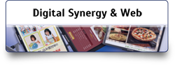 Digital Synergy & Web Page